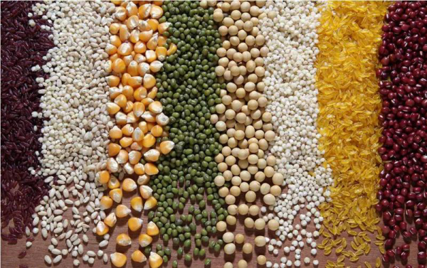 空气源热泵在粮食烘干领域的优势与前景